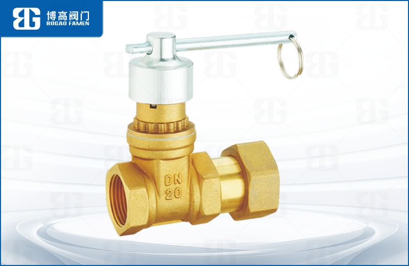 磁性鎖閉活(huó)接止回閘閥