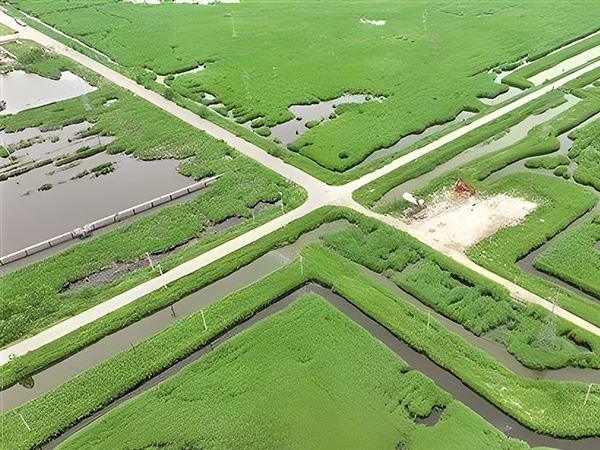 打造綠(lǜ)色低碳(tàn)油田 做(zuò)綠色發(fā)展的“頂(ding)梁柱”